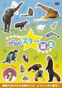 �ǂ��ԂX�^�[�a���I