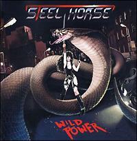 ���C���h�E�p���[