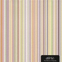 The Moment Of Sparkle