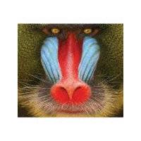 ���C���h�E�X�}�C��