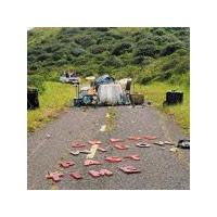 �p�X�g�E�^�C��