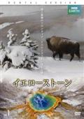 ＢＢＣ　ＥＡＲＴＨ　イエローストーンを観る