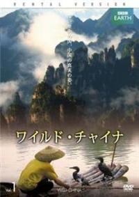 �a�a�b�@�d�`�q�s�g�@���C���h�E�`���C�i