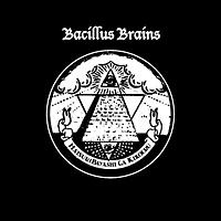 Ղ蚒q/THE BACILLUS BRAINS(THE {])̉摜EWPbgʐ^