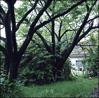 �yMAXI�z���N(�ʏ��)(�}�L�V�V���O��)