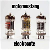ELECTROCUTE