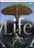 ＢＢＣ　ＥＡＲＴＨ　ライフのサムネイル画像