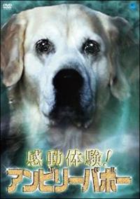 �����̌��I�A���r���[�o�{�[