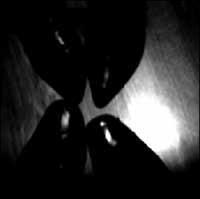 �J�����E�A���h�E�g���}�[