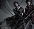 yMAXIzROSE HIP-BULLET(ʏ)(}LVVO)