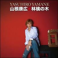 �yMAXI�z�ь�̖�(�}�L�V�V���O��)