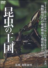 �����̉���