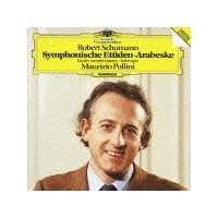 �V���[�}��:�����I���K�ȁA�A���x�X�N