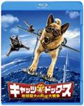 クッキー・フォーチュン 映画フライヤー グレン・クローズ リヴ・タイラー 希少品 クッキー・フォーチュン 映画フライヤー グレン・クローズ リヴ