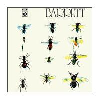 ���̖��̓o���b�g