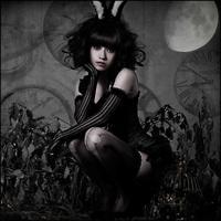 �yMAXI�zEye 2 Eye(�}�L�V�V���O��)