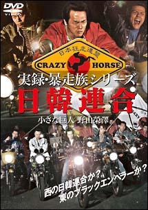 やべきょうすけ主演 実録 暴走族シリーズ 日韓連合 小さな巨人 野山榮澤 宅配dvdレンタルのtsutaya Discas