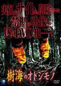 ���C�̃I�g�V���m