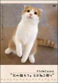 �J�t�F�˂������c�u�c�k�̔L�J�t�F��Ԃ˂��ւ�