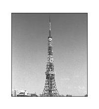 �x�����_�̉���