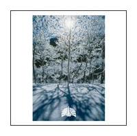 �yMAXI�z�󂪖��Ă���/���̎q�͒N�ł�(�}�L�V�V���O��)