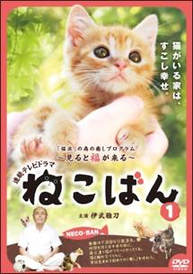 連続テレビドラマ ねこばん DVD-BOX〈4枚組〉＋映画 伊武雅刀主演】連続テレビドラマ ねこばん VOL.1 | 宅配DVD