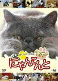 �ɂ�񂱂�Ɓ`�������Ə΂���l�R�l�R����@�z���g�͂���Ȃ��ƌ����Ă��肵�ā`