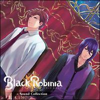 BlackRobinia �T�E���h�R���N�V����