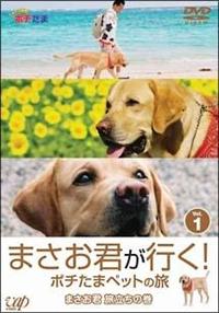 �܂����N���s���I�|�`���܃y�b�g�̗��@�P�@�܂����N�@�������̊�