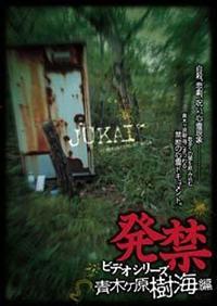 ���փr�f�I�V���[�Y�@�؃������C��