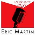 MR.VOCALIST BEST