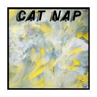 CAT NAP