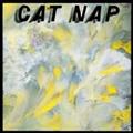 CAT NAP