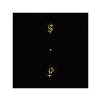 �u���b�N�E�A�b�v