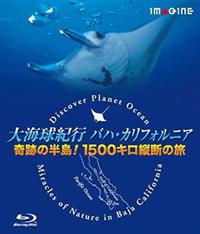 ��C���I�s�o�n�E�J���t�H���j�A�yDVD�����Łz