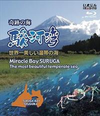 ��Ղ̊C�@�x�͘p�@�|���E����������т̊C�|