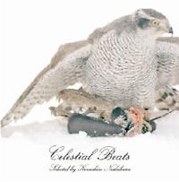 Celestial Beats selected by Kenichiro Nishihara