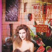 �s�e�J���g���v�X�̋t�P