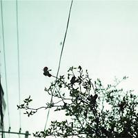 �҂������т�Ē�������