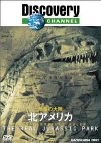 �����̑嗤�@�k�A�����J