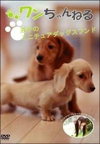 ���������˂�@�o�q�̃~�j�`���A�_�b�N�X�t���h�i�N���[���j