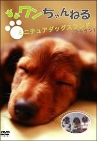 ���������˂�@�~�j�`���A�_�b�N�X�t���h�i�u���E���j