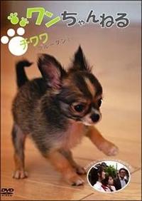 ���������˂�@�`�����i�u���[�^���j