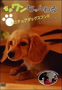 ���������˂�@�~�j�`���A�_�b�O�X�t���h�i�S�[���h�j