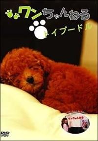 ���������˂�@�g�C�v�[�h��