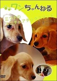 ���������˂�@�R�q�̃~�j�`���A�_�b�O�X�t���h�i�N���[���j