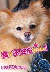 �䂪�q�u���炿���v