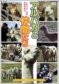 �A���p�J�ƒ��Ԃ���