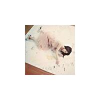 *(NOTES)(ʏ)