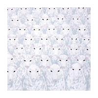 �yMAXI�zYOU and I(�ʏ��)(�}�L�V�V���O��)